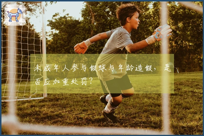 未成年人参与假球与年龄造假，是否应加重处罚？