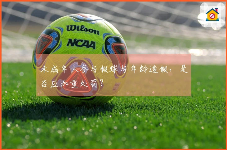 未成年人参与假球与年龄造假，是否应加重处罚？